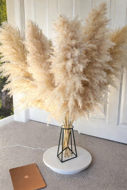 Large Pampas Grass uscat, calitate premium, pentru decoruri (+ O VAZǍ GRATUIT)
